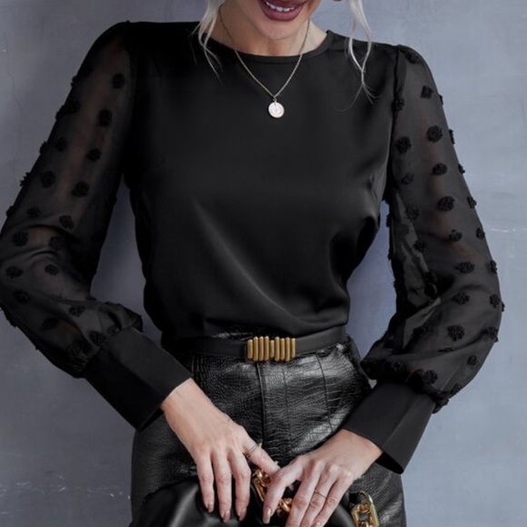 Swiss dot sheer sleeve work blouse - Picture 2 of 7